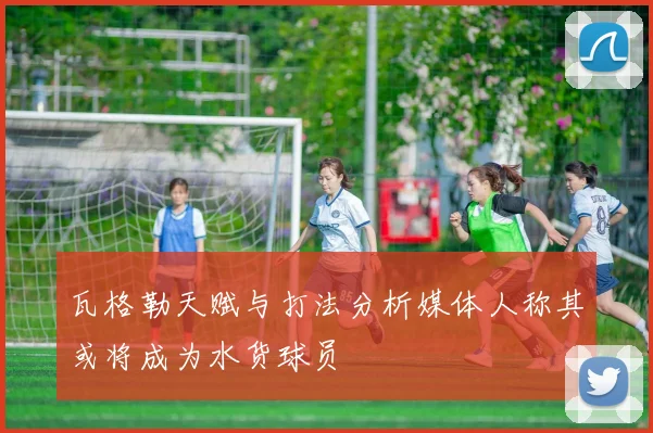 瓦格勒天赋与打法分析媒体人称其或将成为水货球员